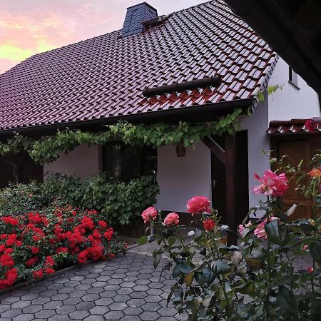 Ferienhaus Rosenhof Glaubitz Екстериор снимка