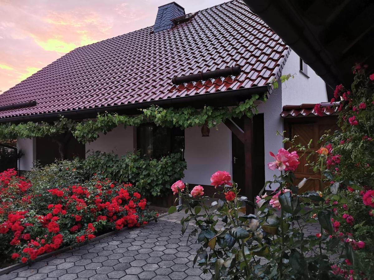 Ferienhaus Rosenhof Glaubitz Екстериор снимка