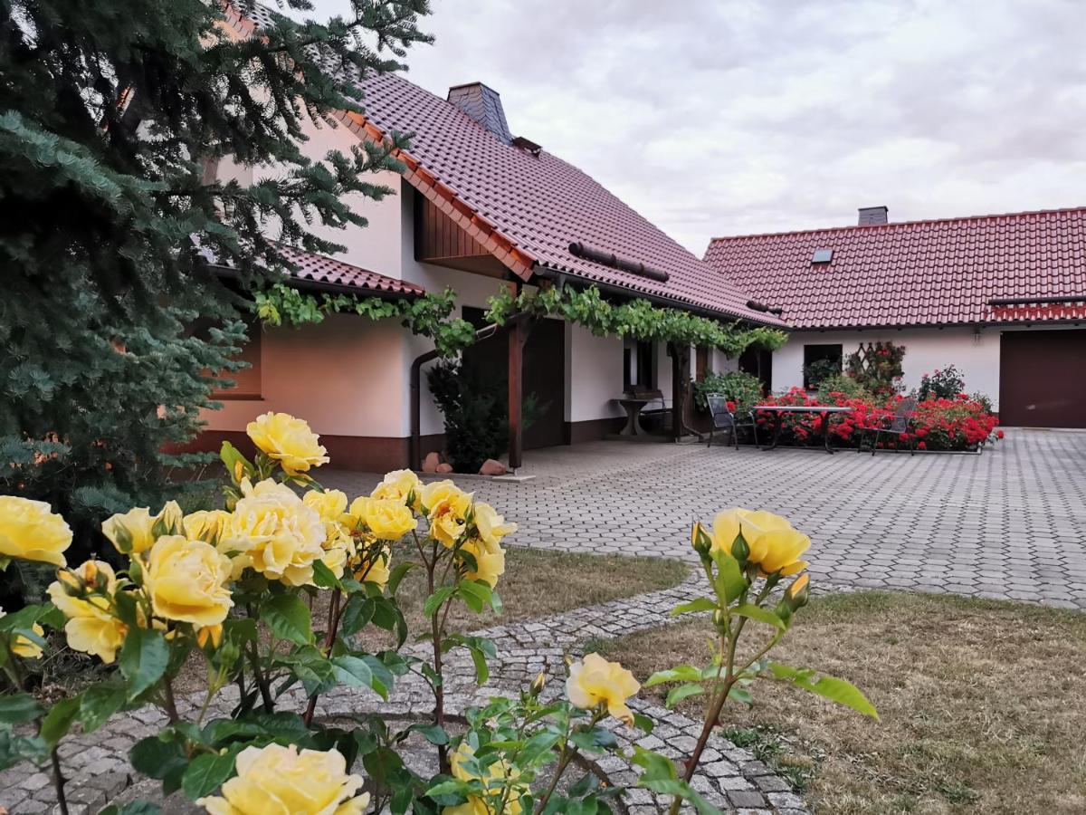 Ferienhaus Rosenhof Glaubitz Екстериор снимка