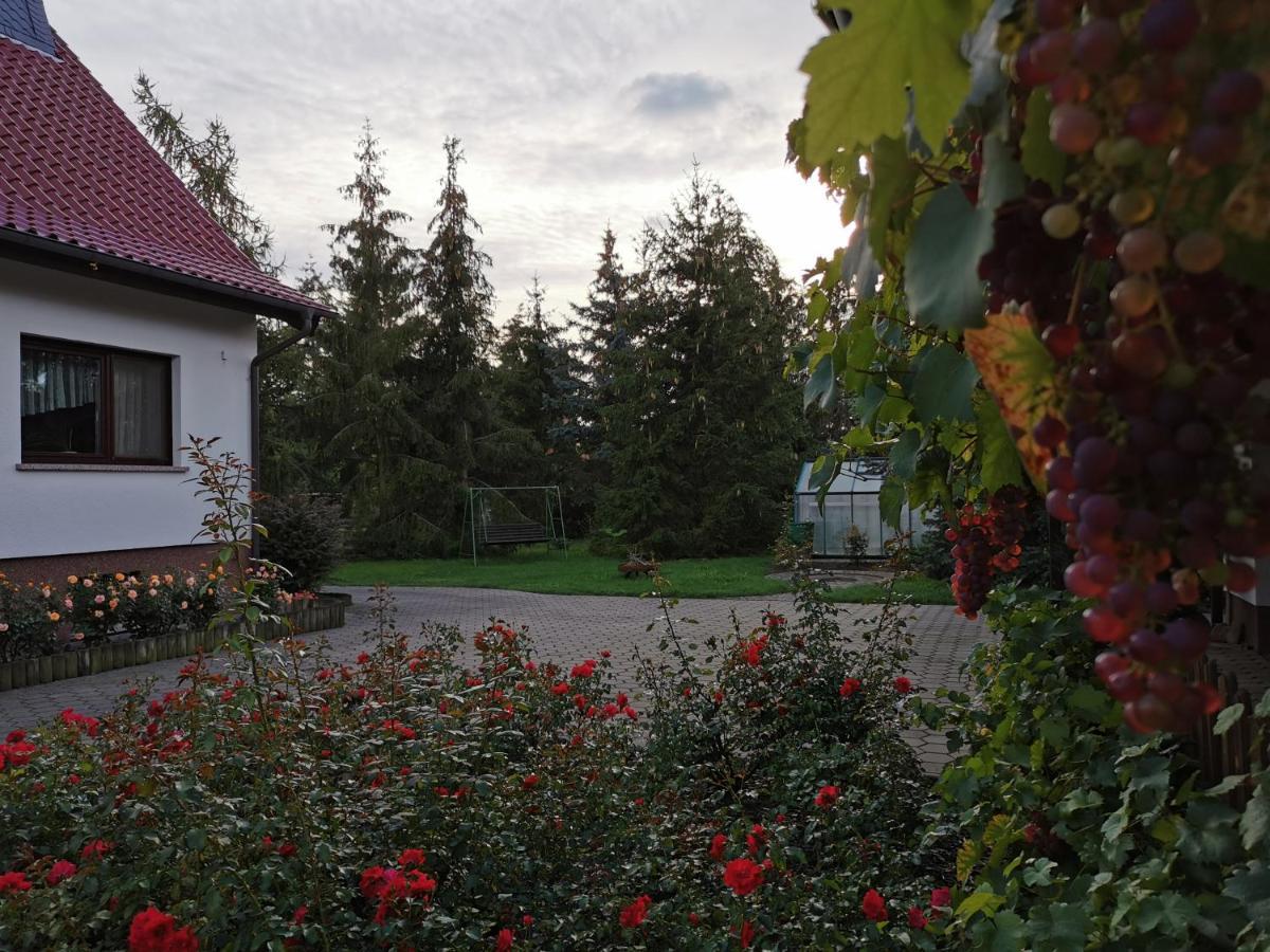 Ferienhaus Rosenhof Glaubitz Екстериор снимка
