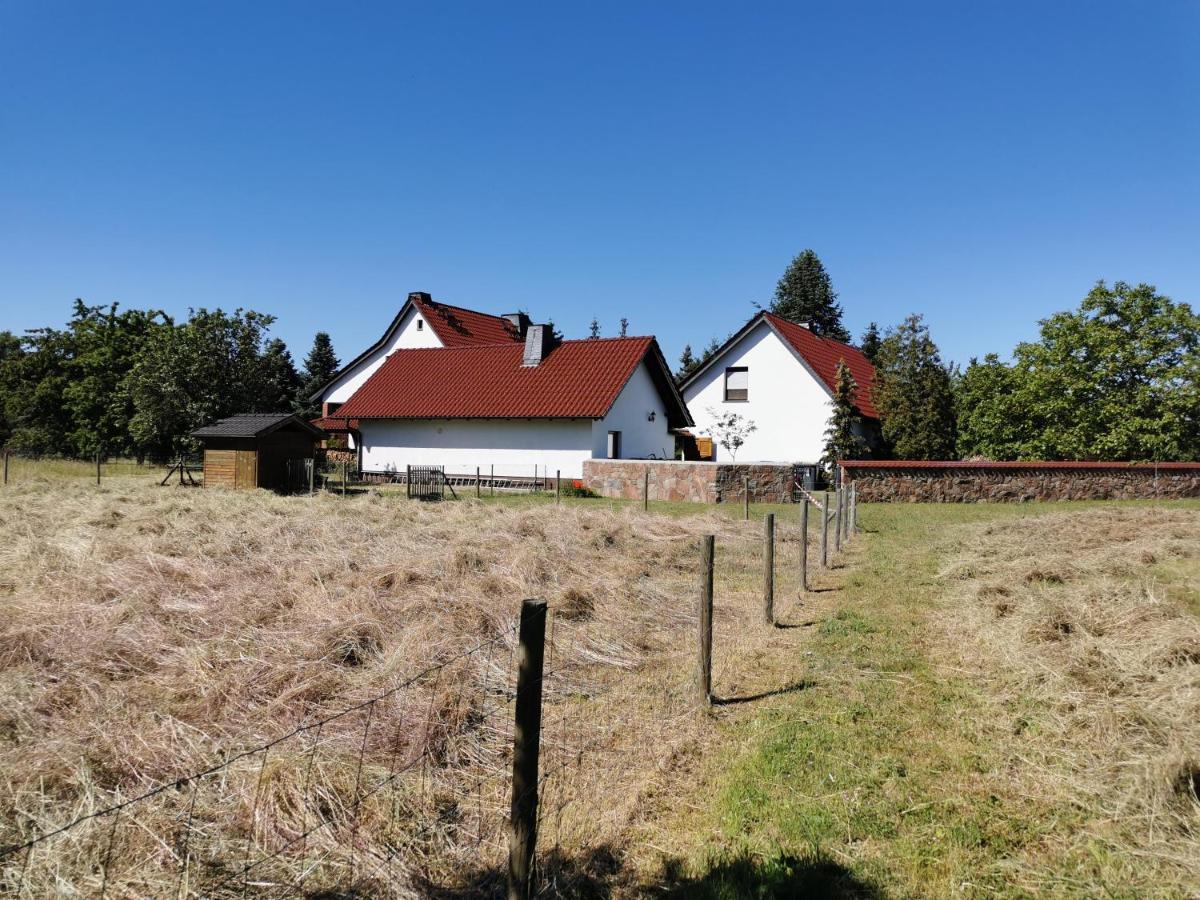 Ferienhaus Rosenhof Glaubitz Екстериор снимка