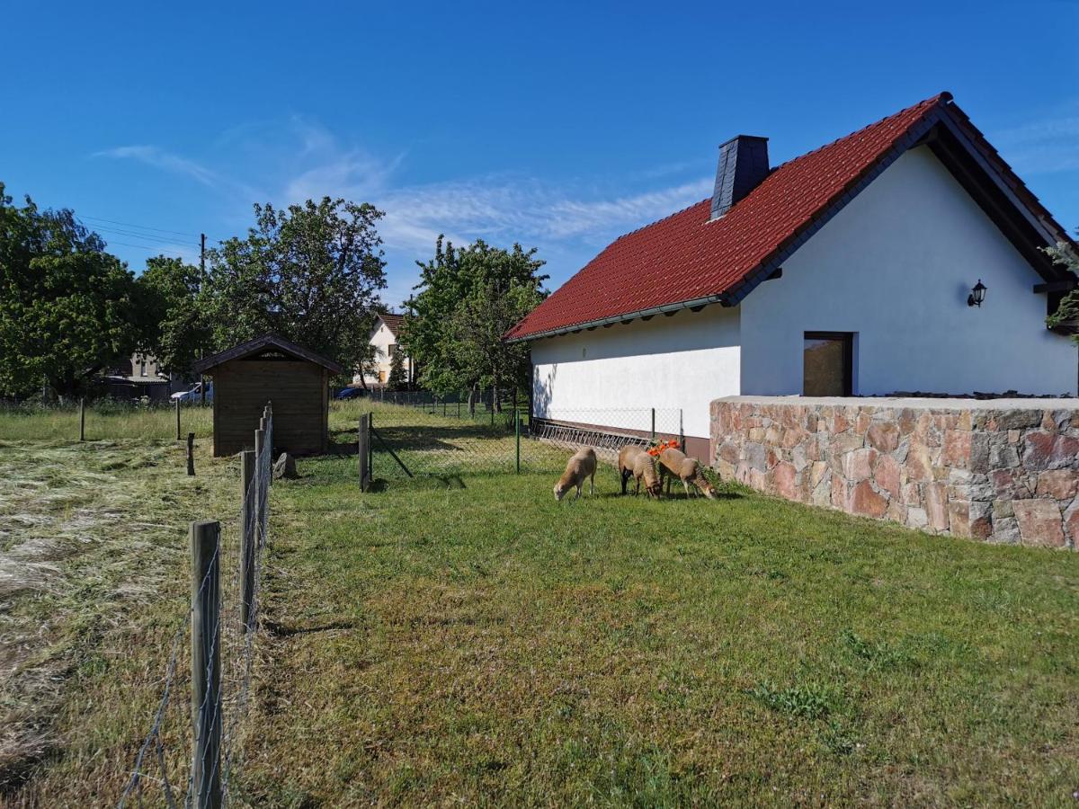 Ferienhaus Rosenhof Glaubitz Екстериор снимка